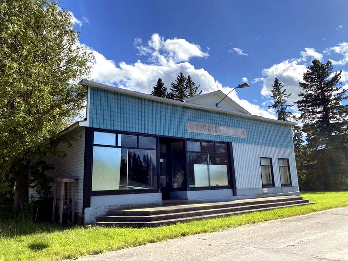 Spruce  - June 17 2022 Photo (newer photo)